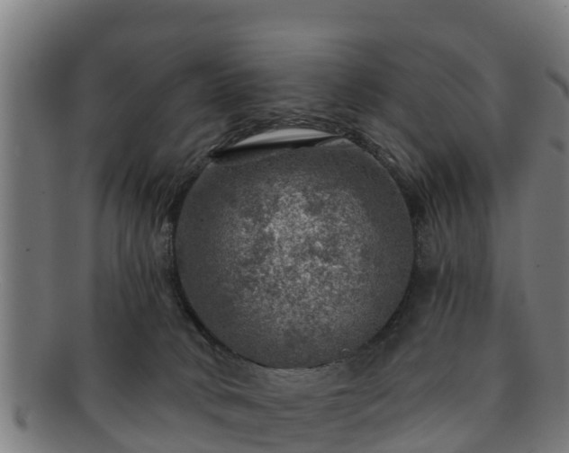 X0000091720034200708311149