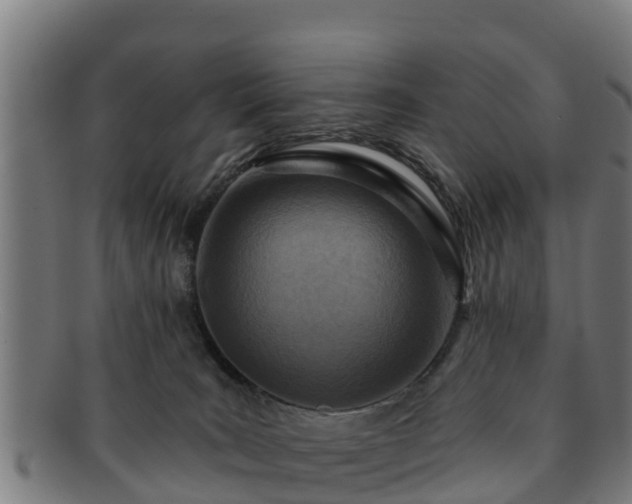 X0000091720035200708311149