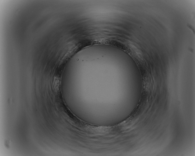 X0000091720036200708311149