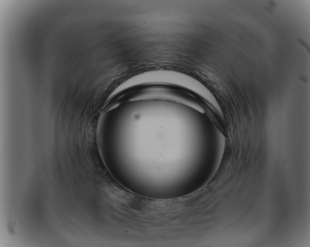 X0000091720037200708311149