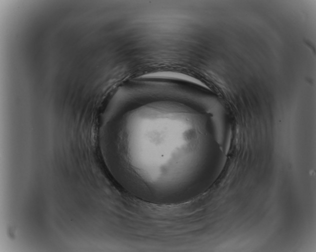 X0000091720039200708311149