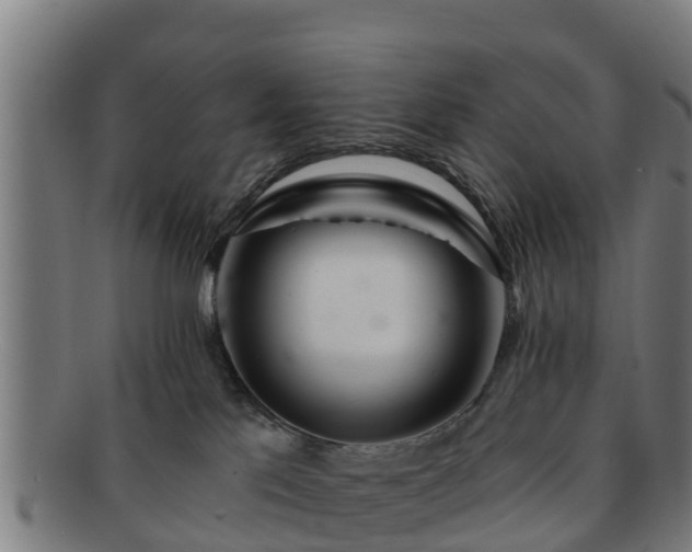 X0000091720041200708311149