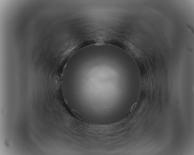 X0000091720043200708311149