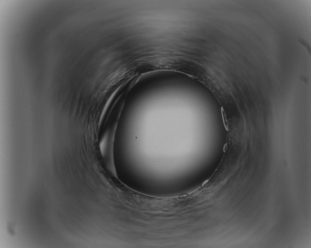 X0000091720044200708311149