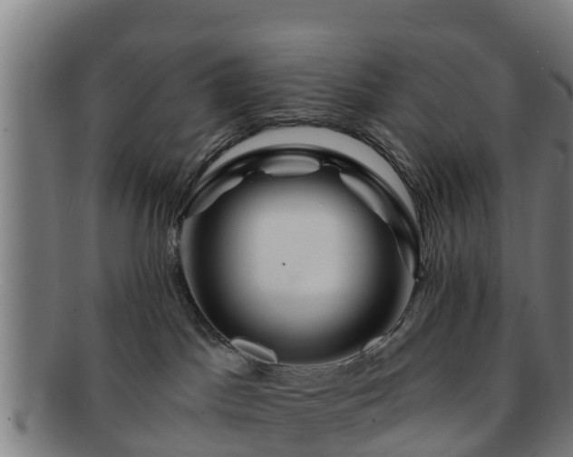 X0000091720045200708311149