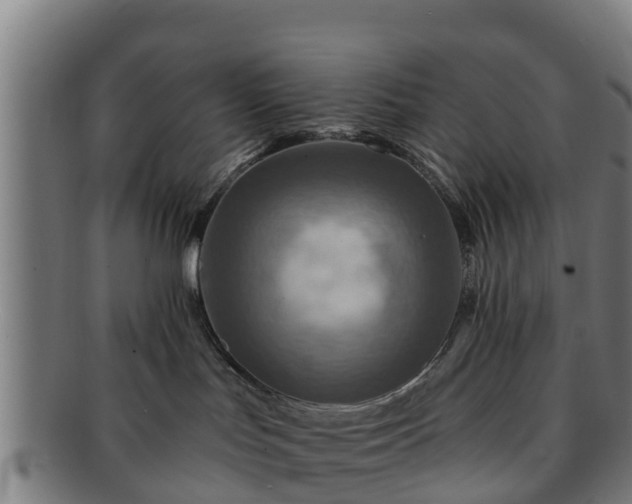 X0000091720047200708311149