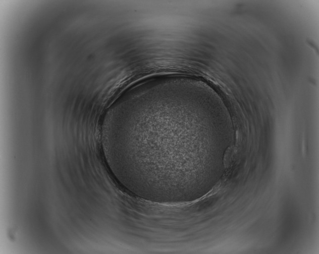 X0000091720048200708311149