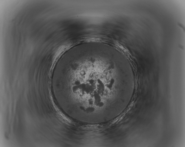 X0000091720049200708311148