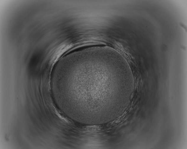 X0000091720050200708311148