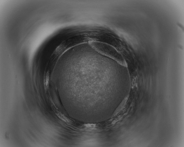 X0000091720052200708311148