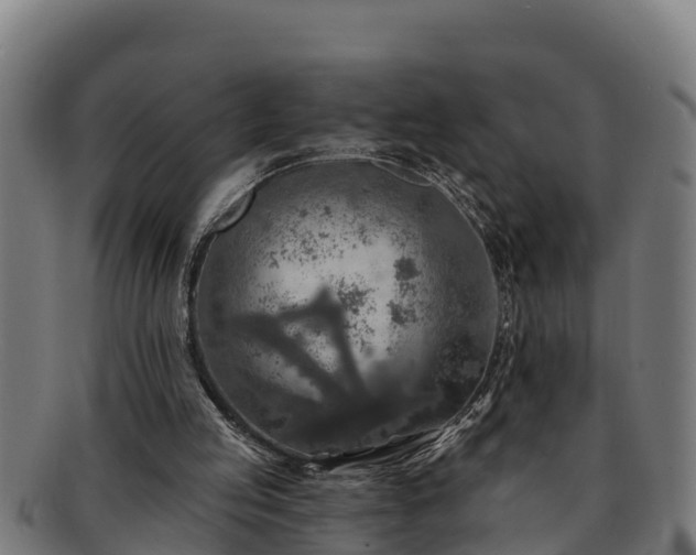 X0000091720053200708311148