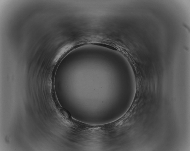 X0000091720054200708311148