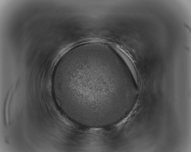 X0000091720055200708311148