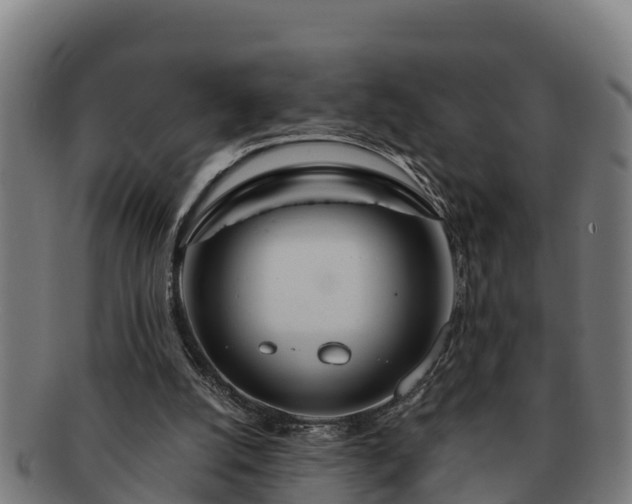 X0000091720056200708311148