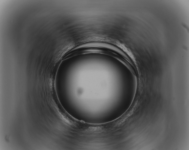 X0000091720057200708311148