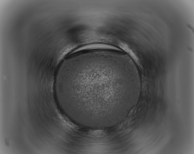 X0000091720058200708311148