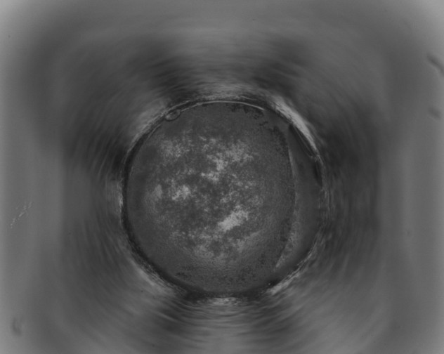 X0000091720059200708311148