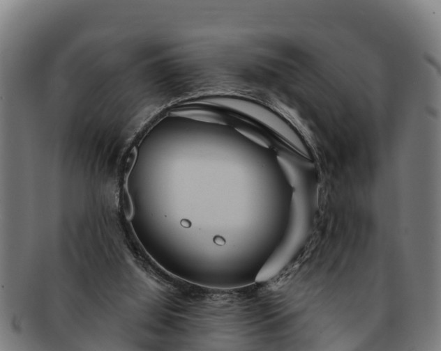 X0000091720060200708311148