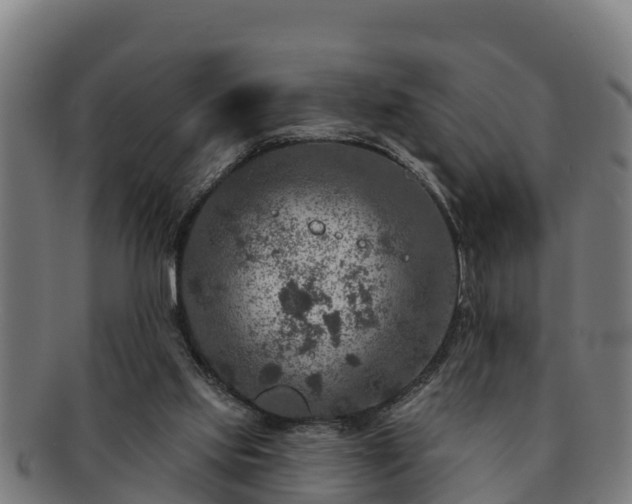 X0000091720061200708311148