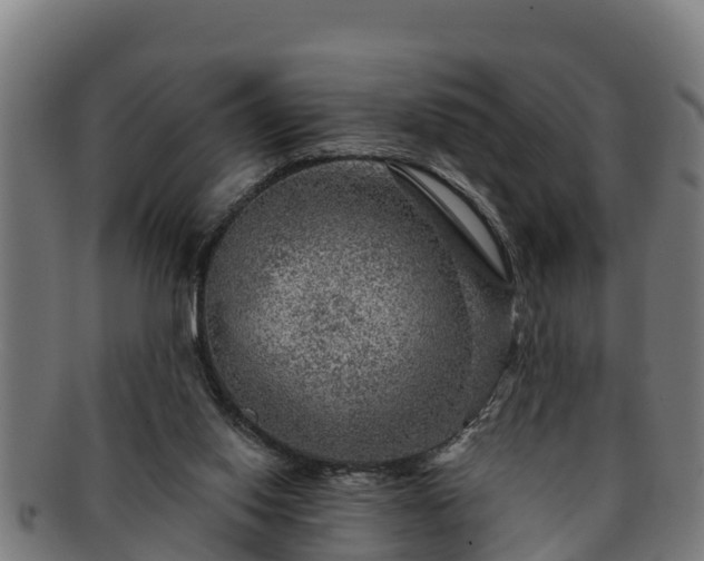 X0000091720062200708311148