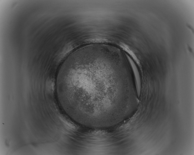 X0000091720063200708311148