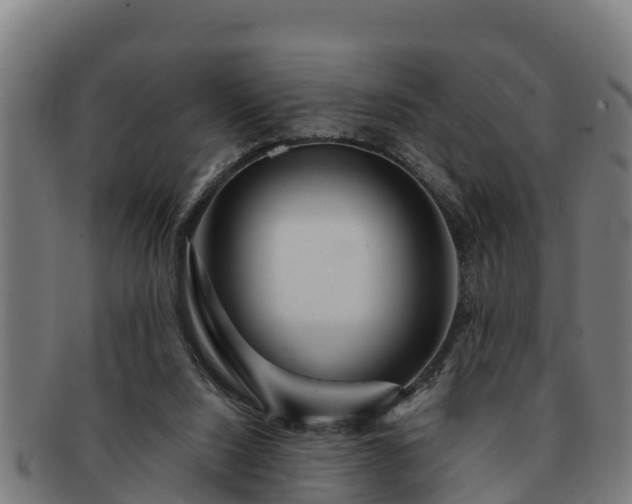 X0000091720064200708311148