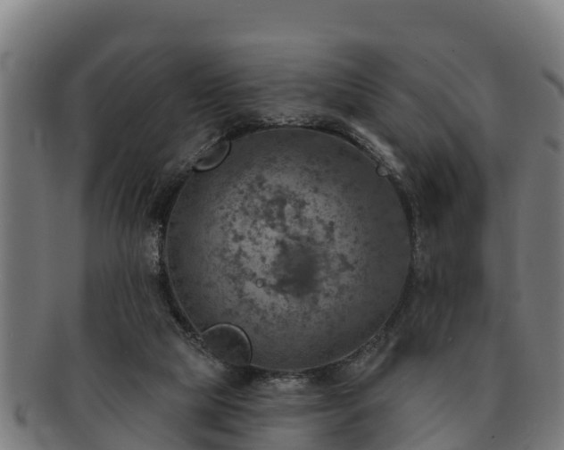 X0000091720065200708311148