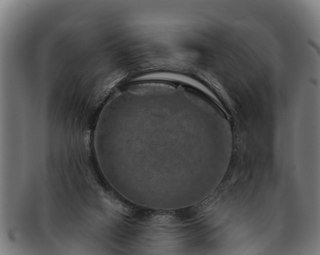 X0000091720066200708311148