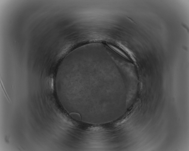 X0000091720067200708311148