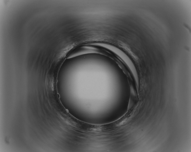 X0000091720068200708311148