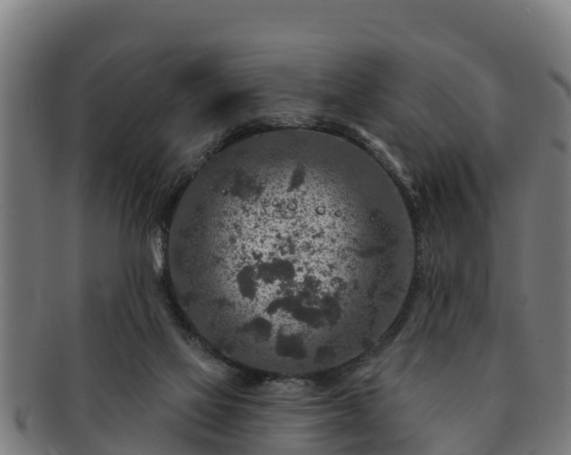 X0000091720069200708311148