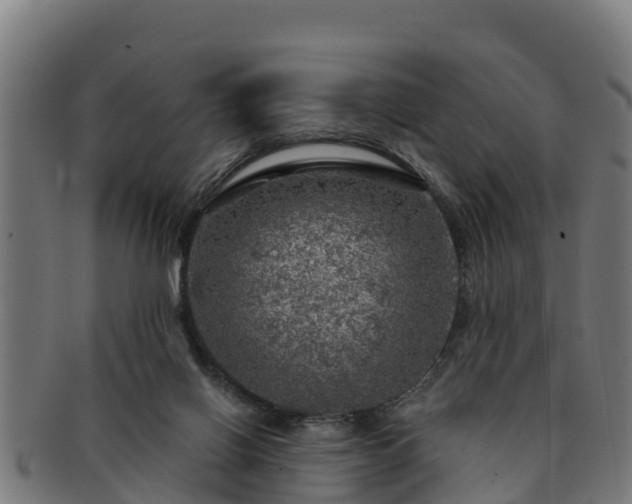 X0000091720070200708311148