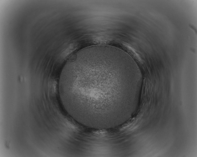 X0000091720071200708311148