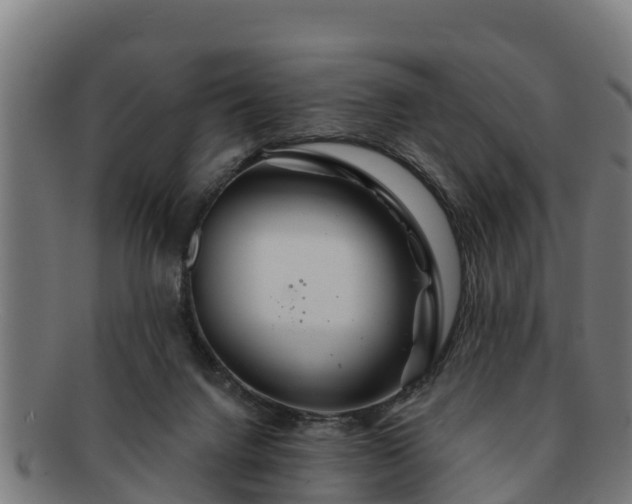 X0000091720072200708311148