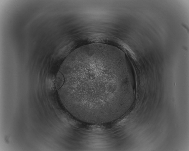 X0000091720073200708311148