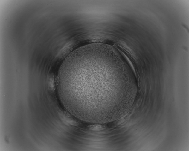 X0000091720074200708311148