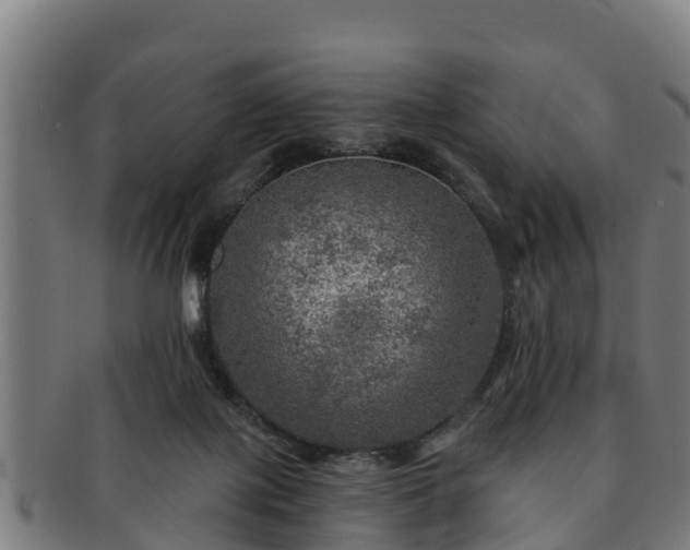 X0000091720075200708311148