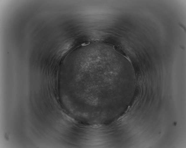 X0000091720076200708311148