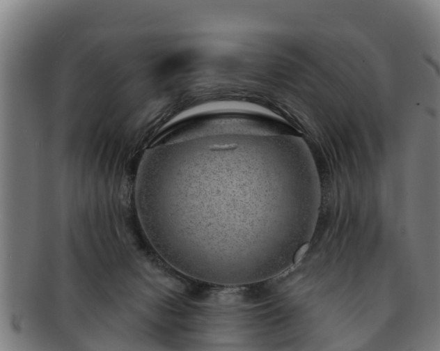 X0000091720078200708311148