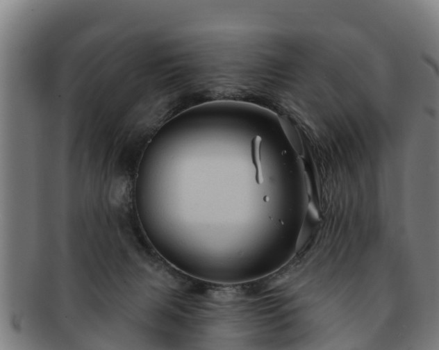 X0000091720079200708311148