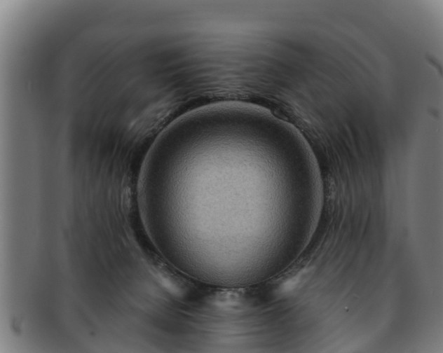 X0000091720080200708311148