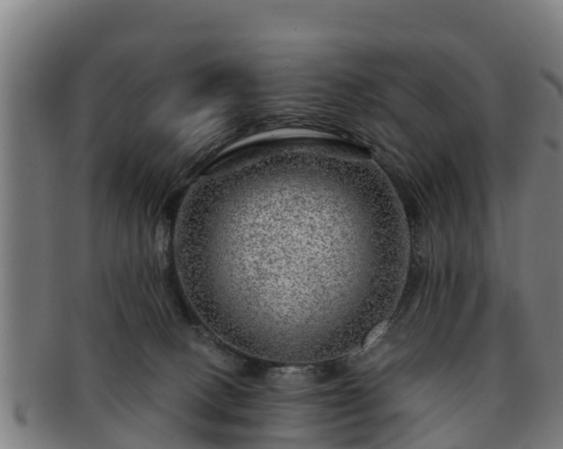 X0000091720082200708311148