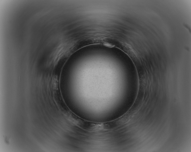 X0000091720083200708311148