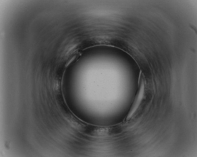 X0000091720084200708311148