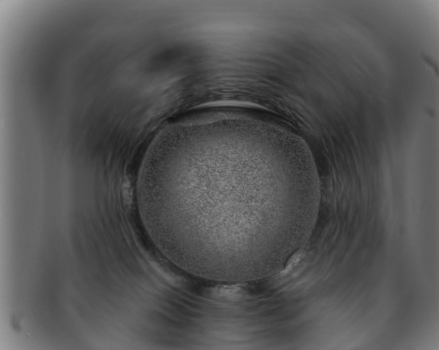 X0000091720086200708311148