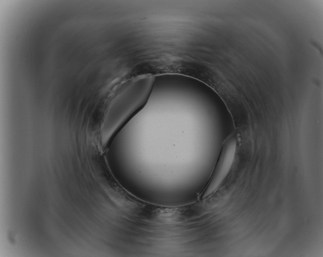 X0000091720088200708311148