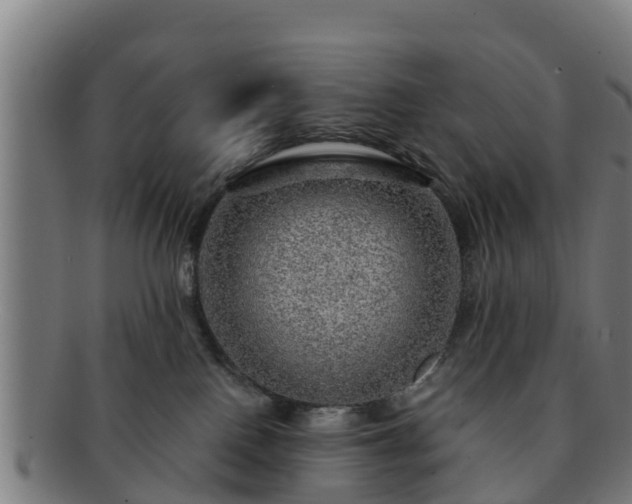 X0000091720090200708311148