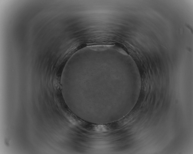 X0000091720091200708311148