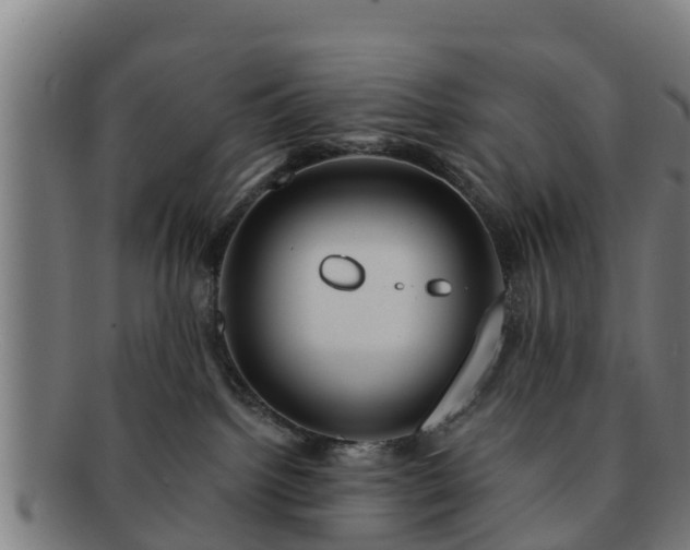 X0000091720092200708311148