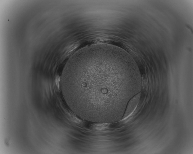 X0000091720094200708311148